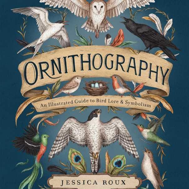 Ornithography by Jessica Roux