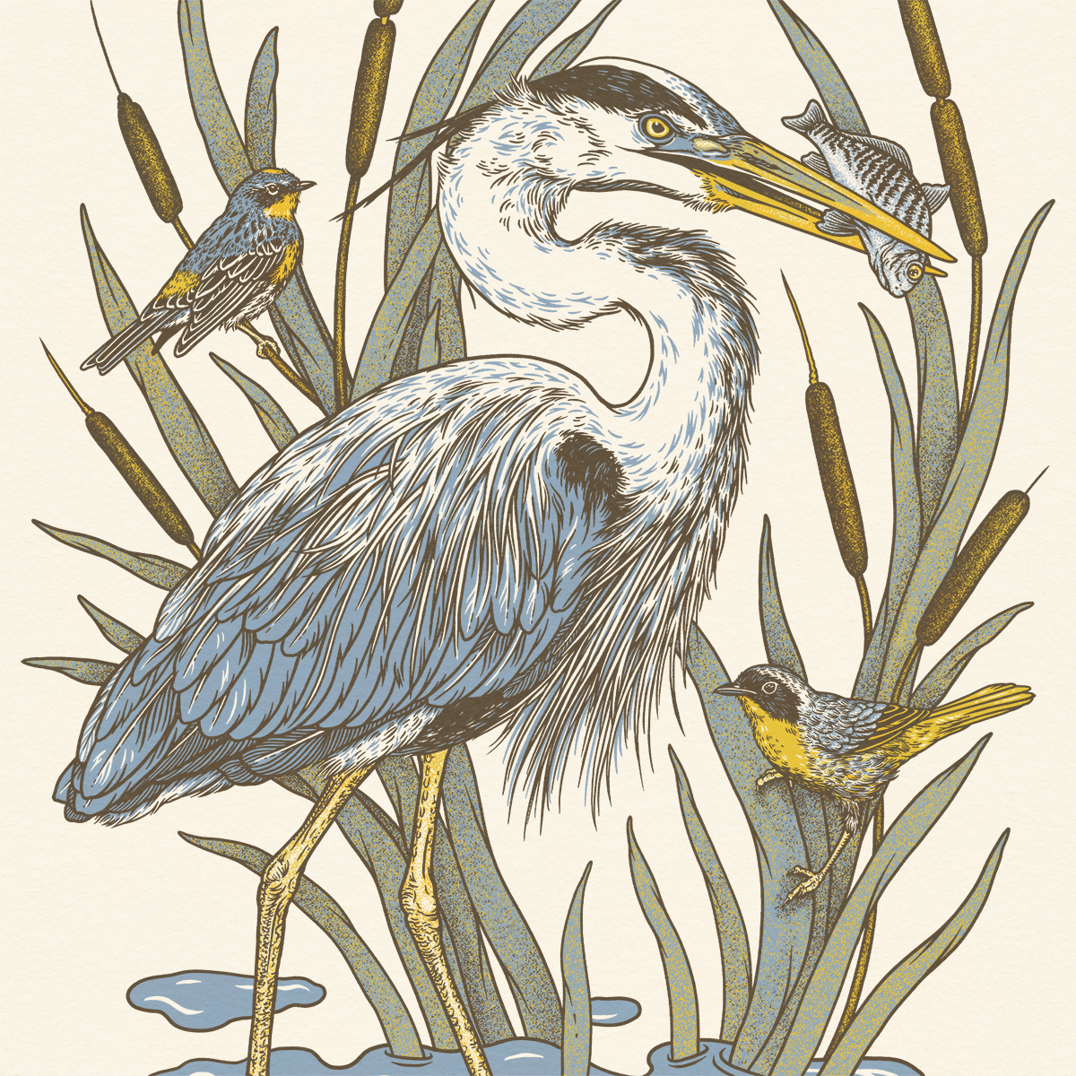 Pasadena Audubon Giclee Print: LA River: 11x14