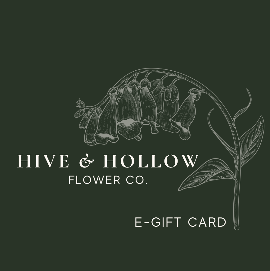 Hive + Hollow | E-Gift Card