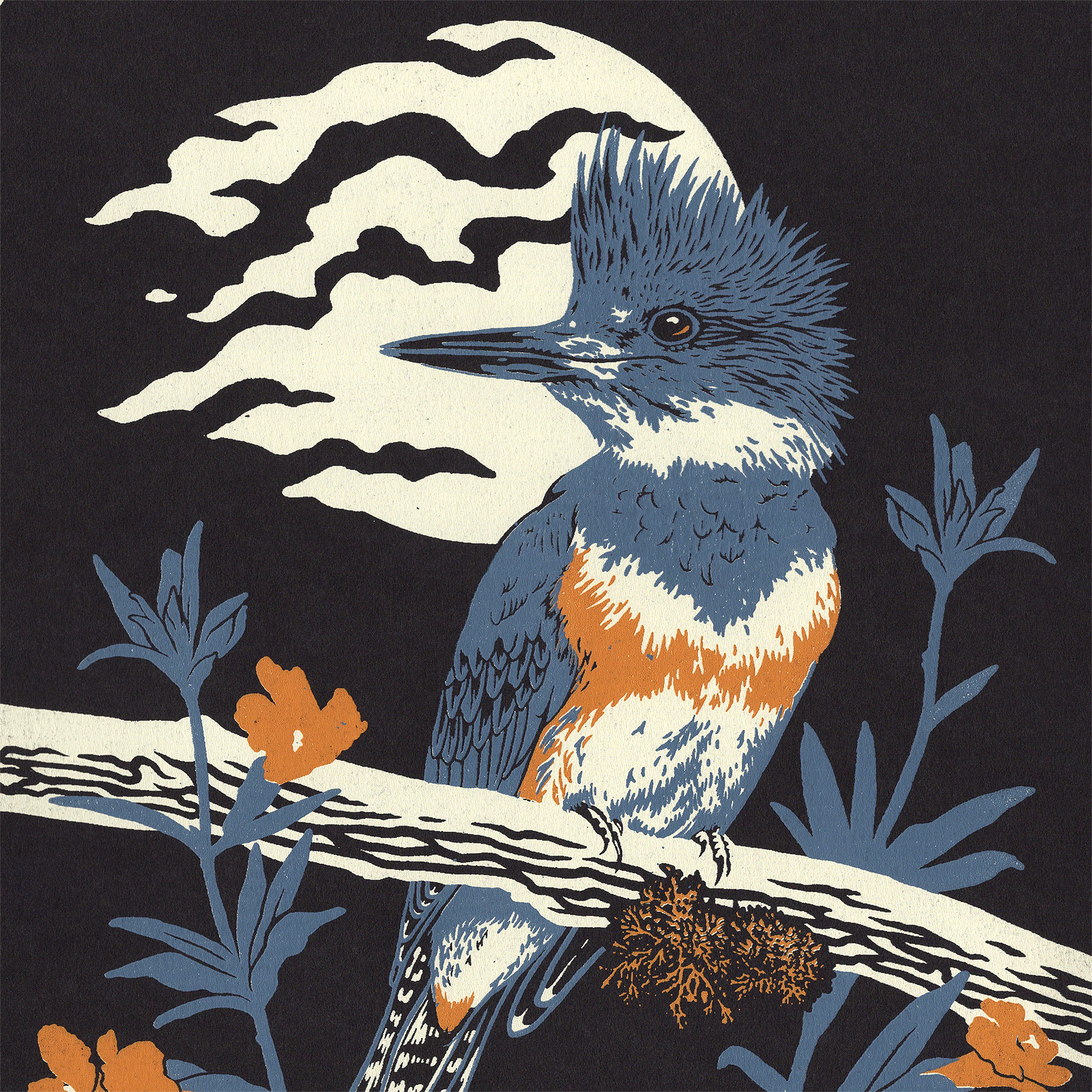 Kingfisher & Monkey Flower 11x14" Giclee Print