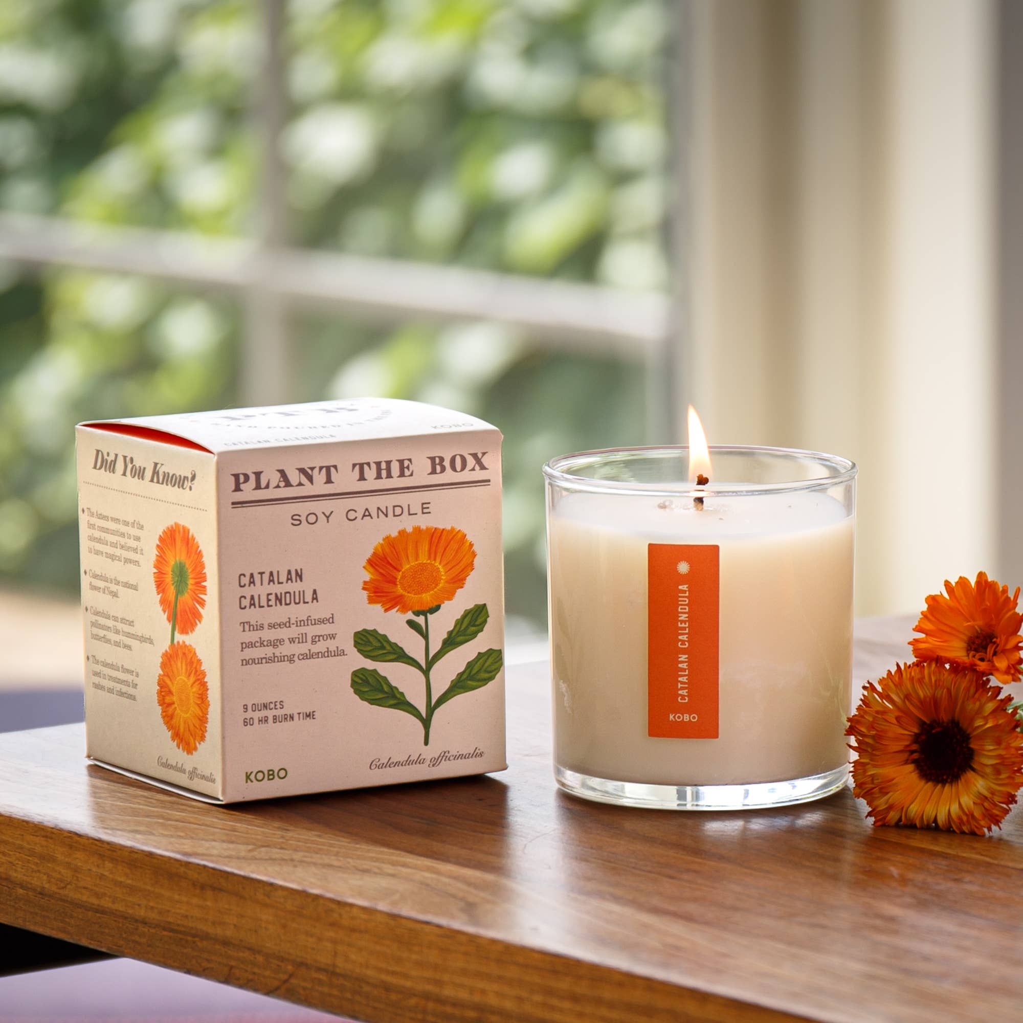 Catalan Calendula Candle