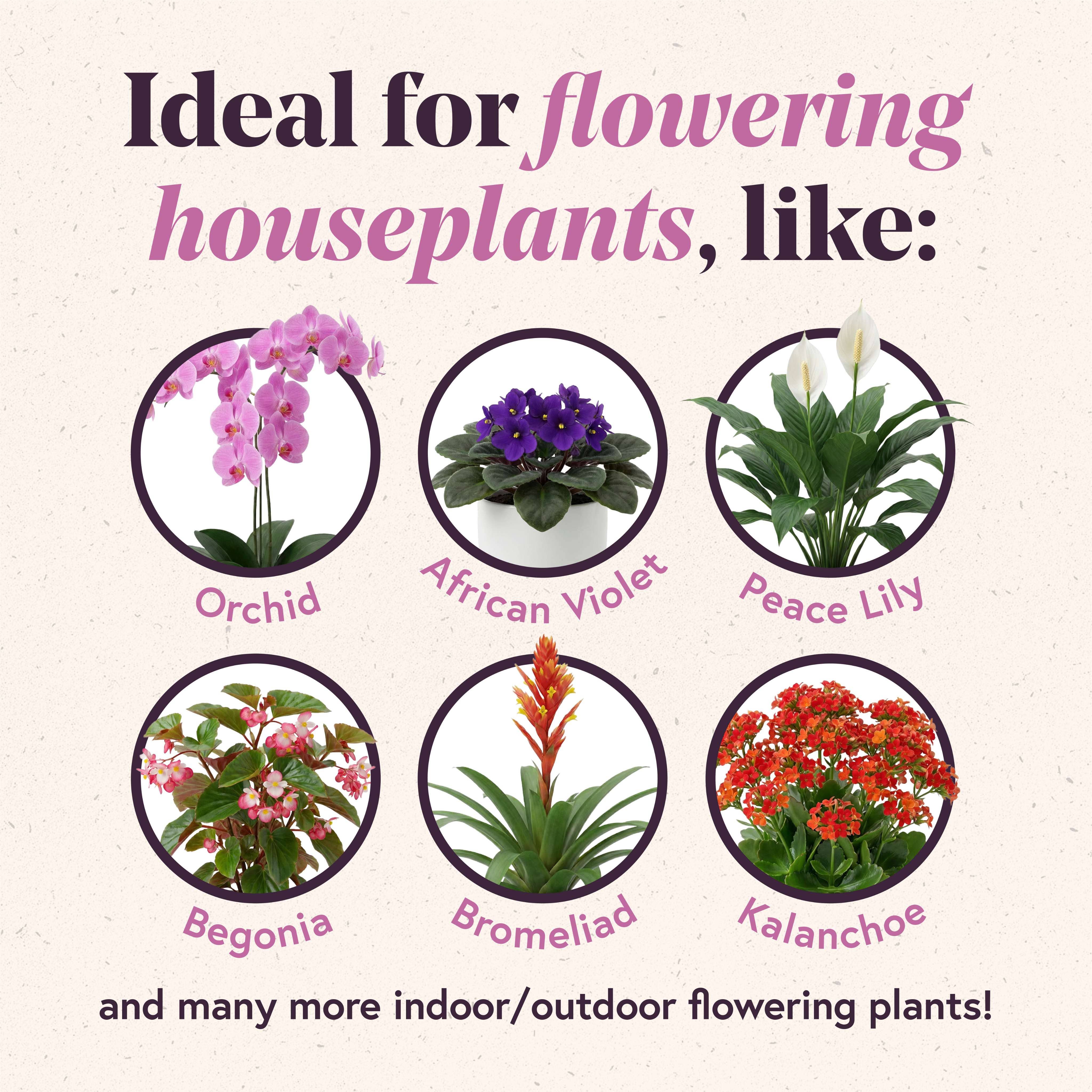 Soil For Blooms Potting Mix