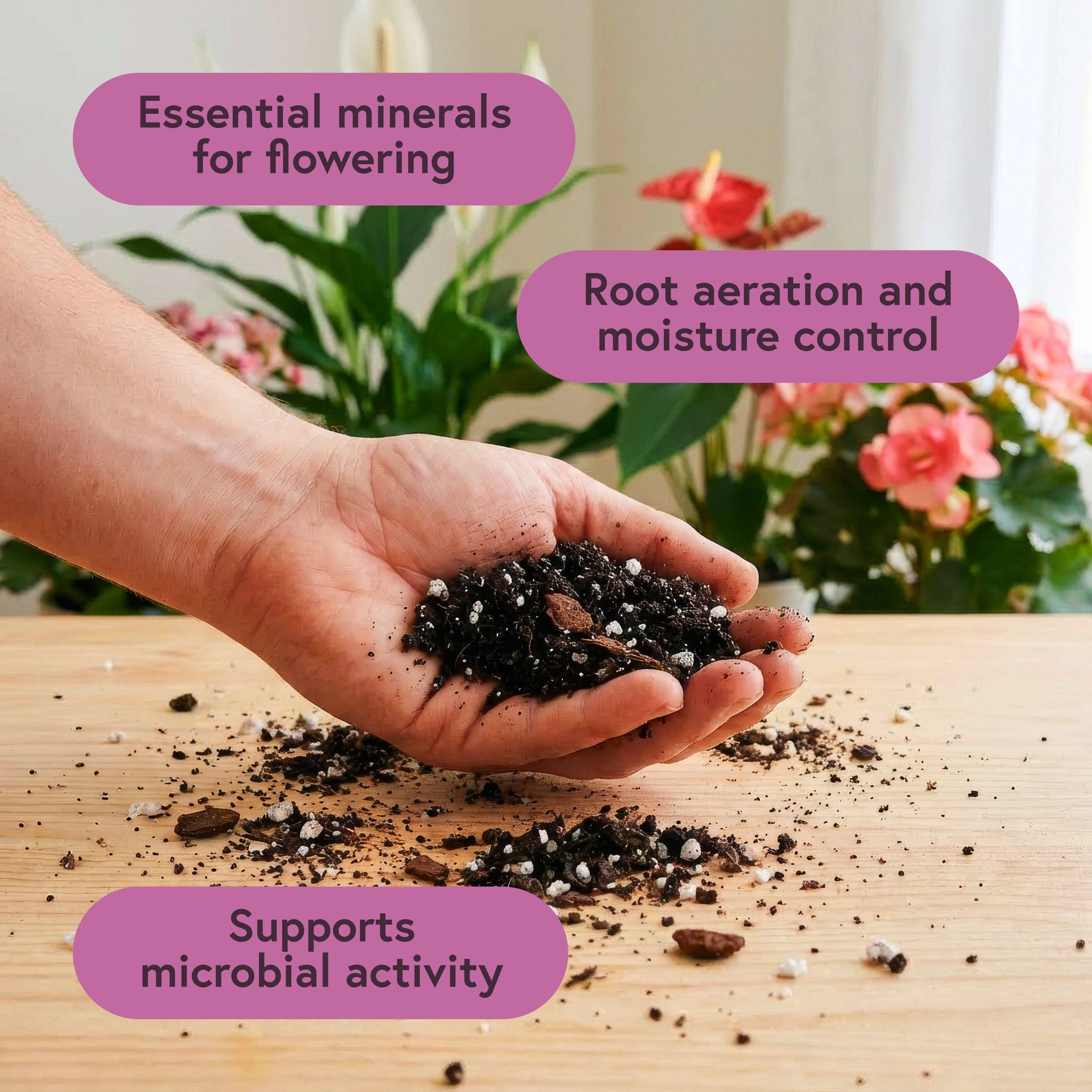 Soil For Blooms Potting Mix