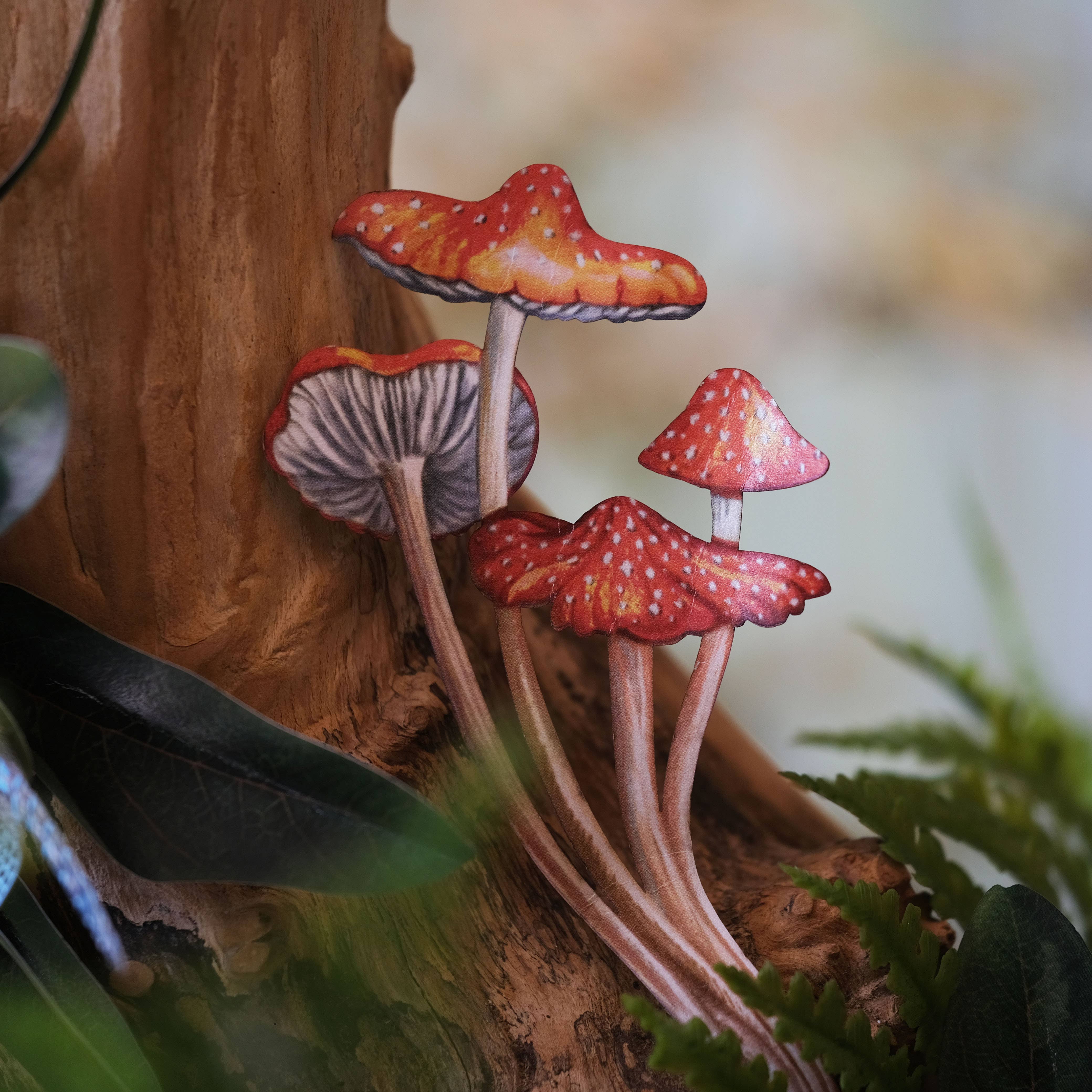 'Forage' Moth &amp; Mushroom 3 piece set