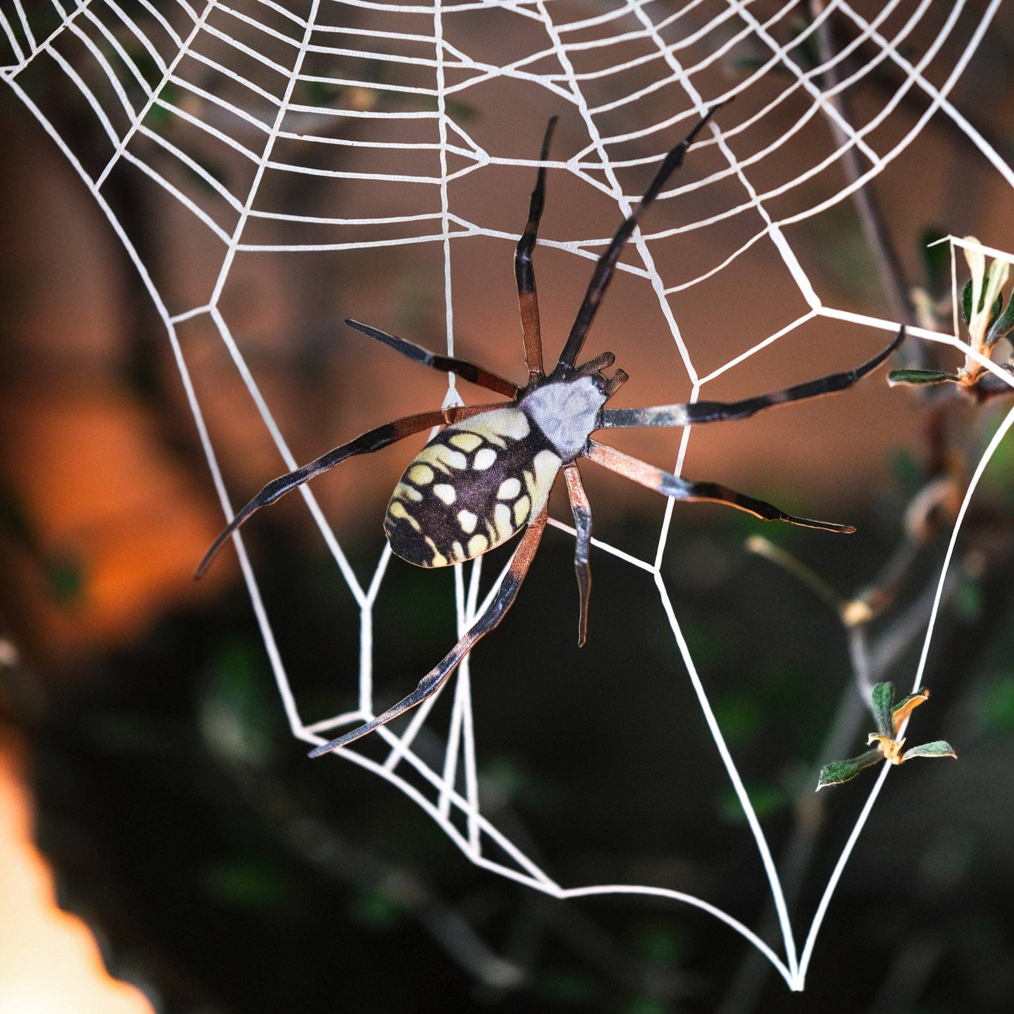 Halloween 'Weaver' Spiderweb &amp; Spider Paper Set
