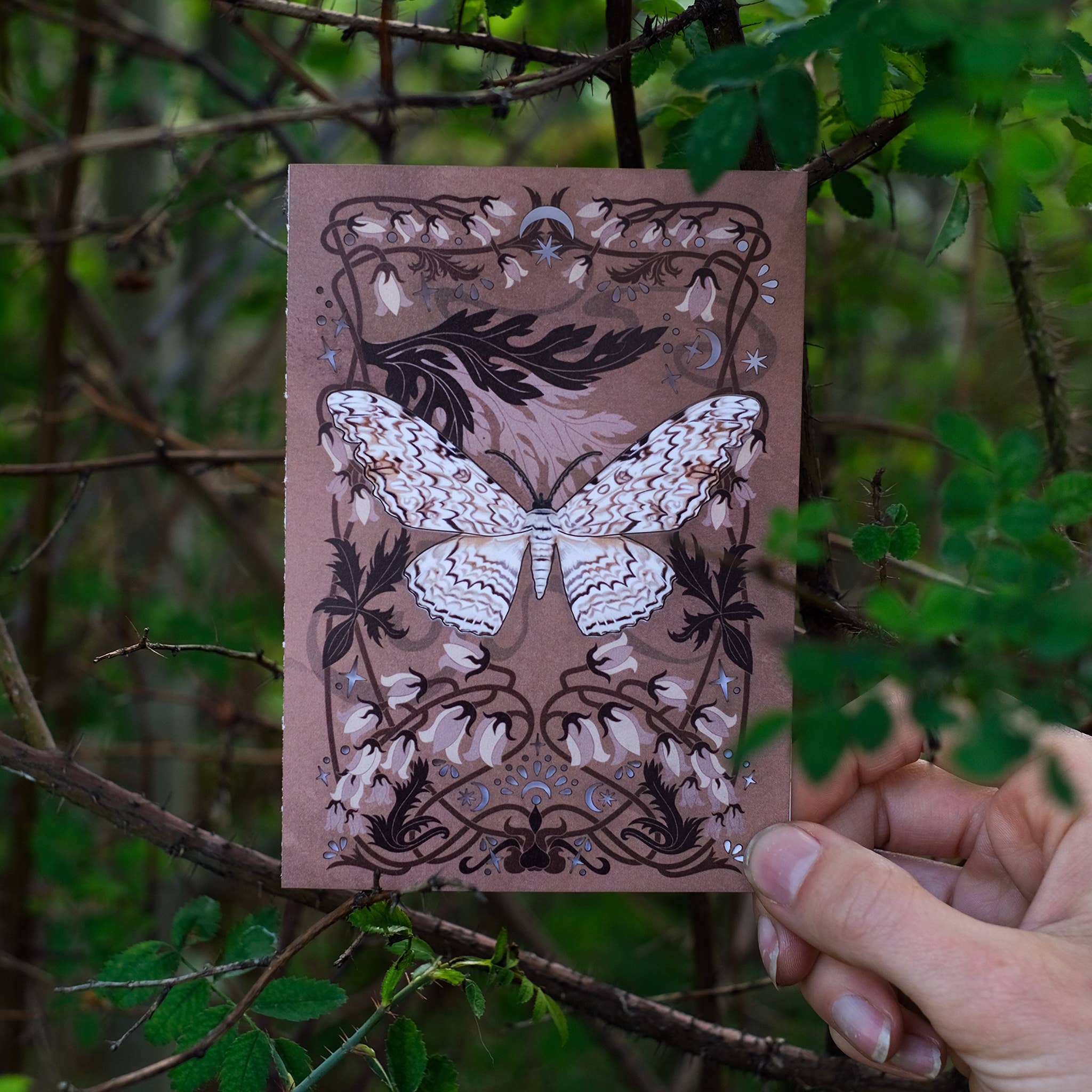 White Witch Moth 'Pop-Out' Greeting Card