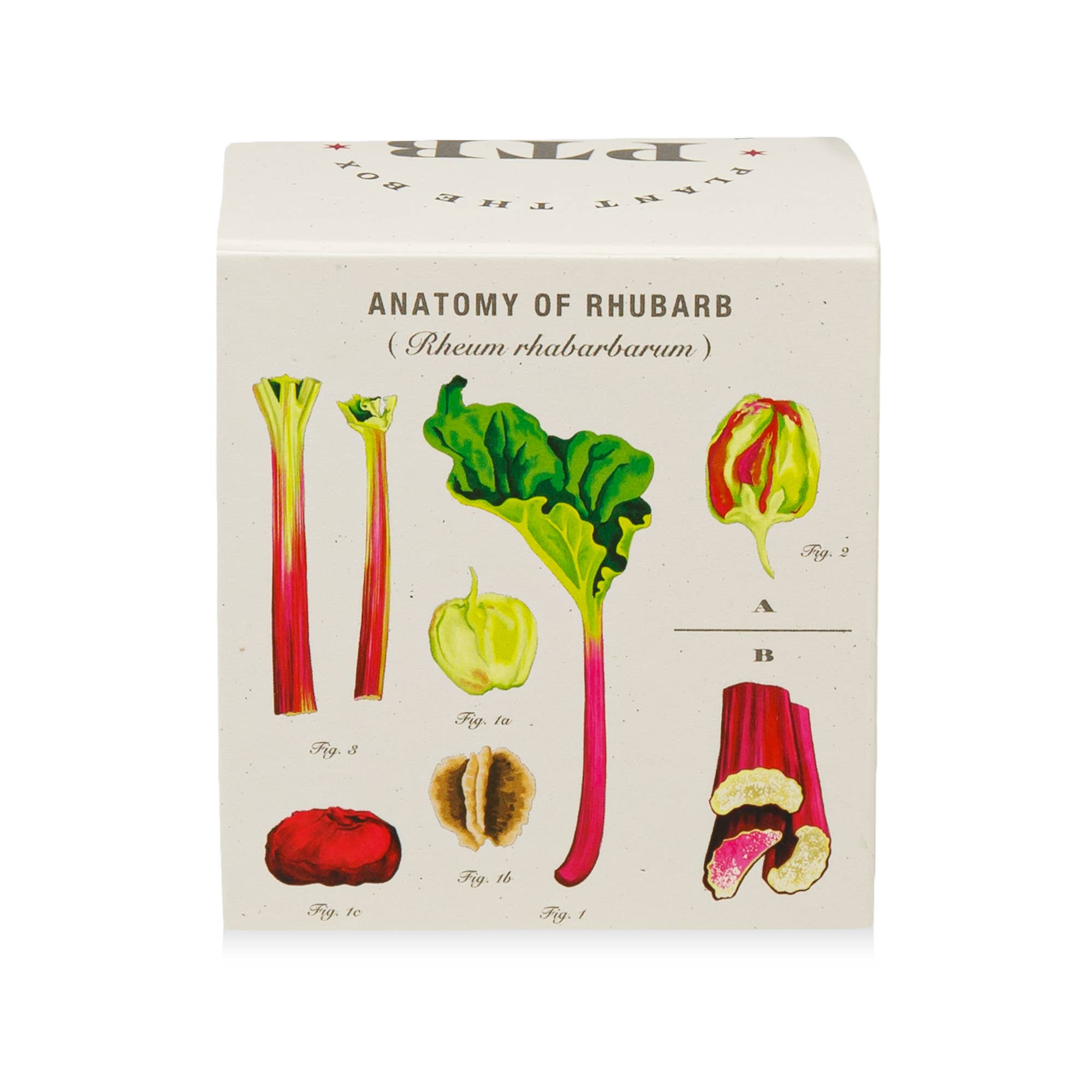 Backyard Rhubarb Candle