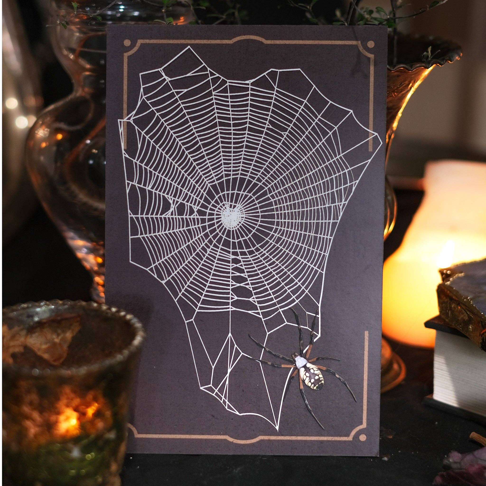 Halloween 'Weaver' Spiderweb &amp; Spider Paper Set