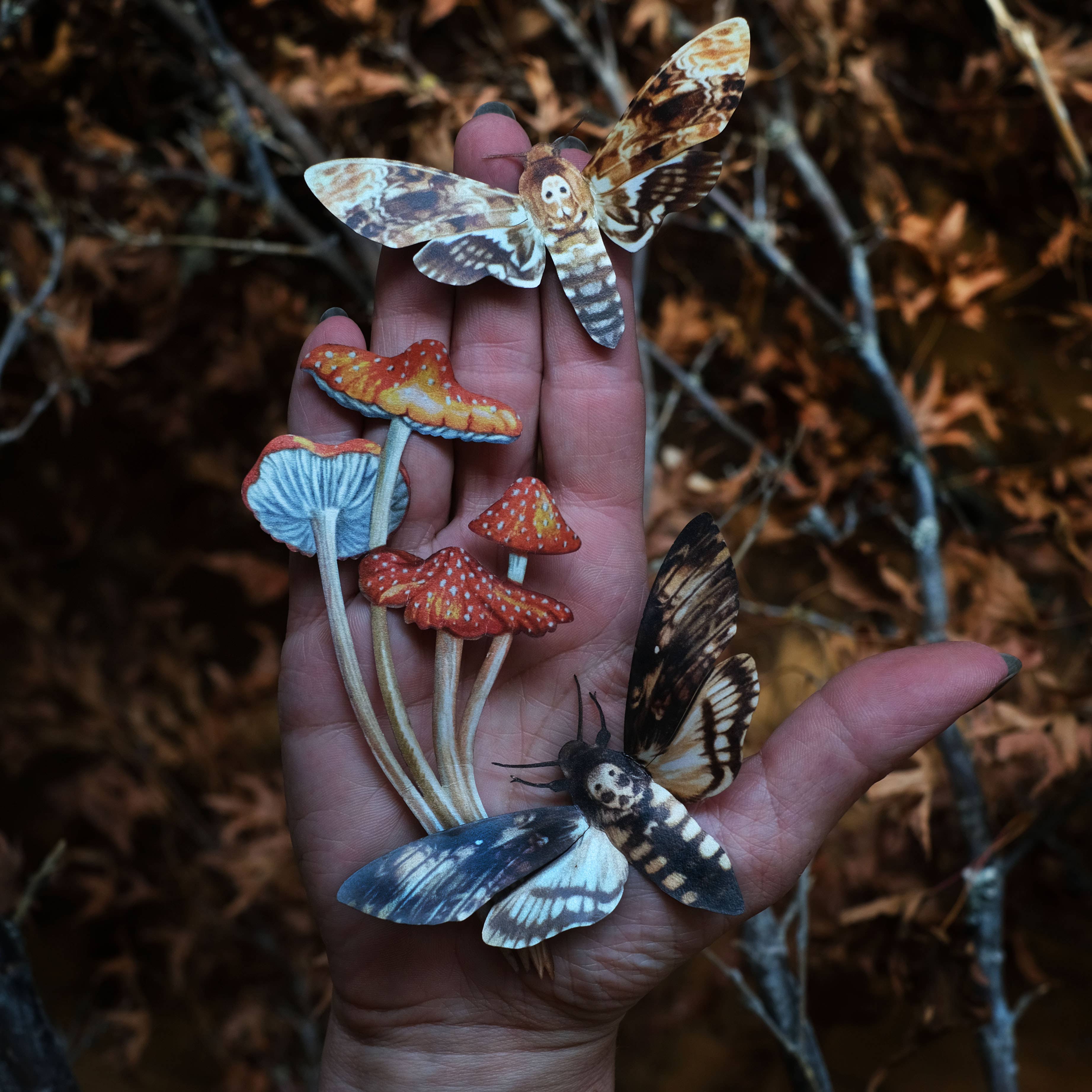 'Forage' Moth &amp; Mushroom 3 piece set