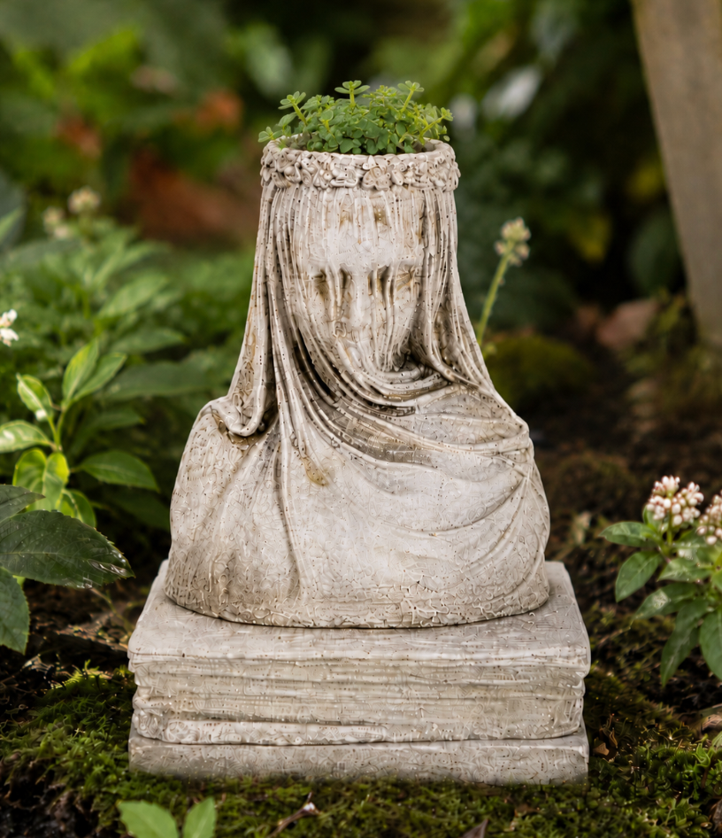 Concrete Small Veiled Lady Pot