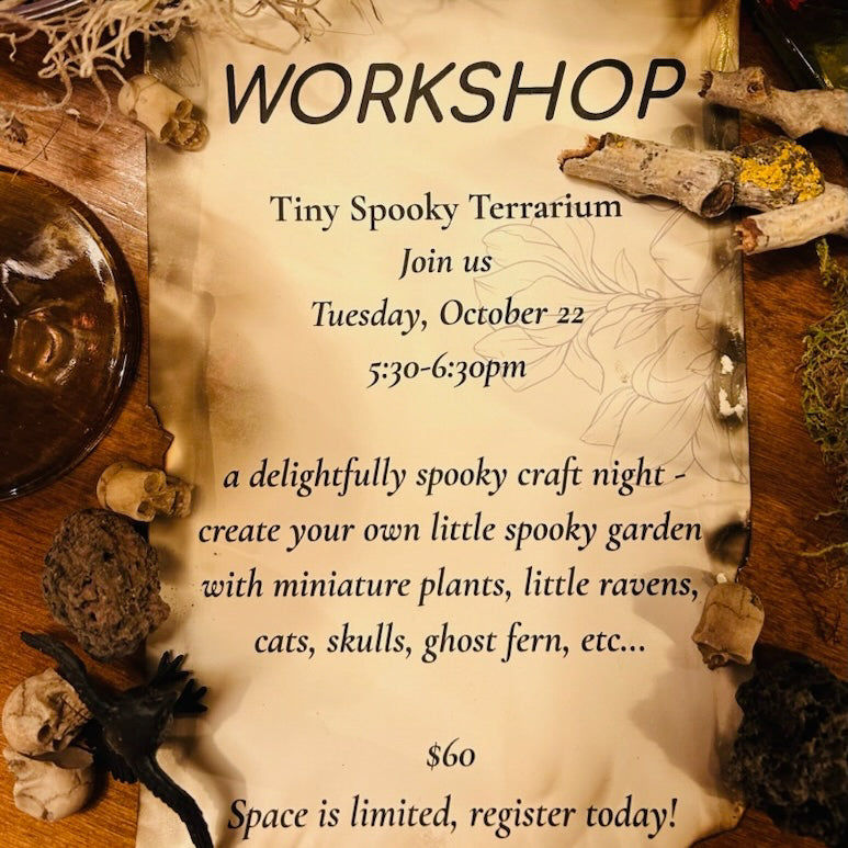 Spooky Terrarium Workshop