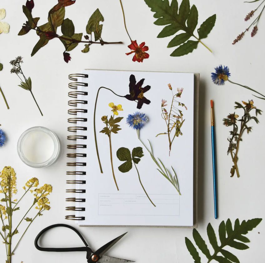 Herbarium Journal