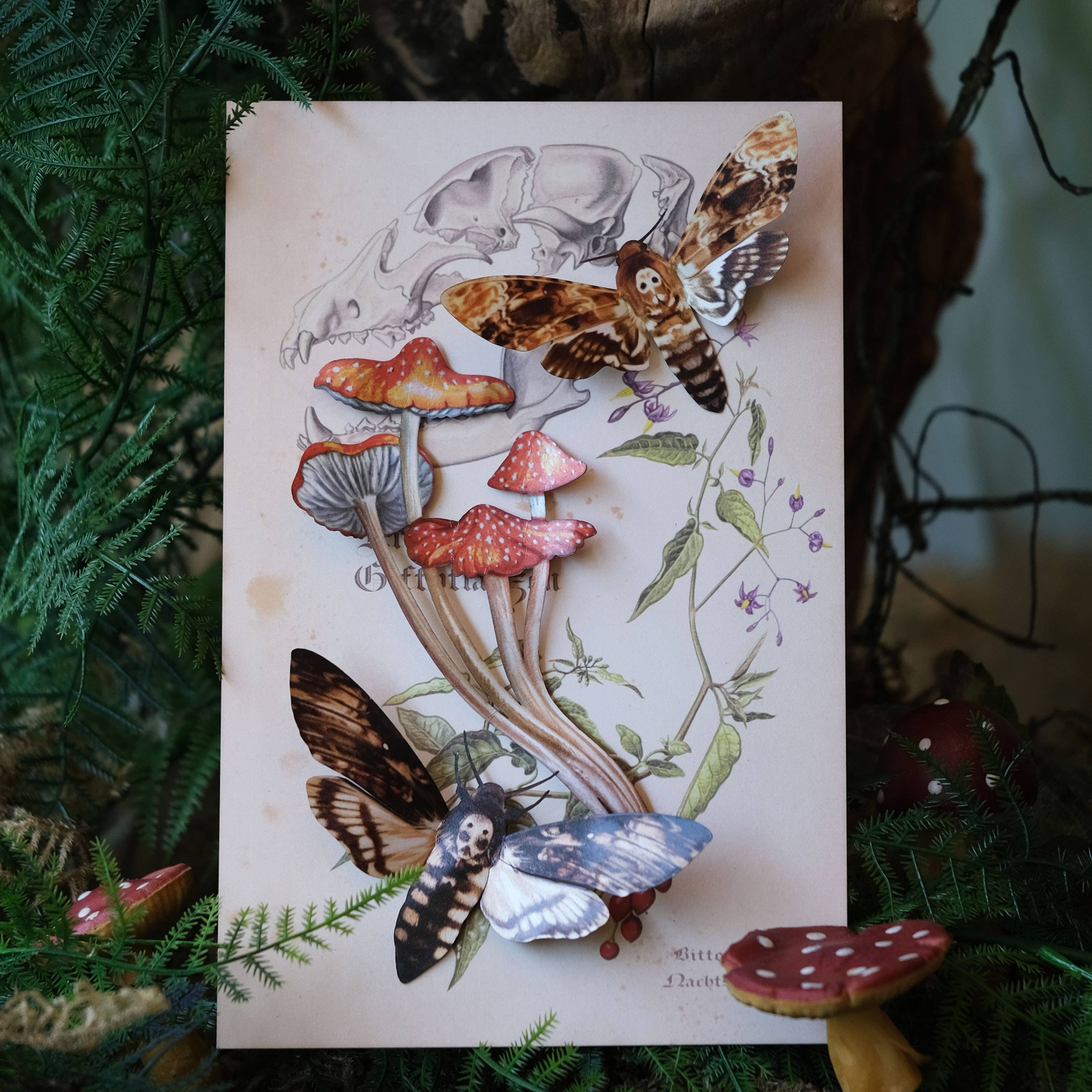 'Forage' Moth &amp; Mushroom 3 piece set