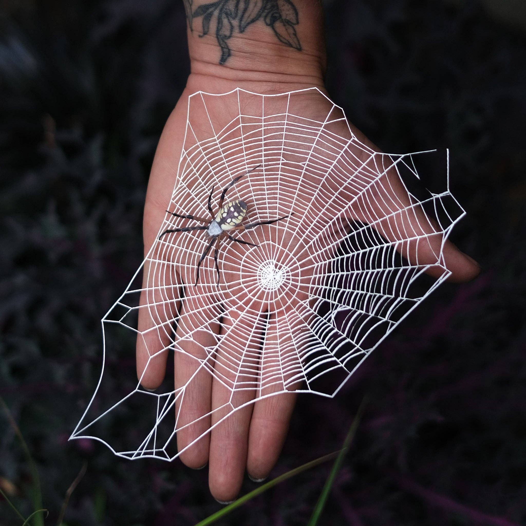 Halloween 'Weaver' Spiderweb &amp; Spider Paper Set