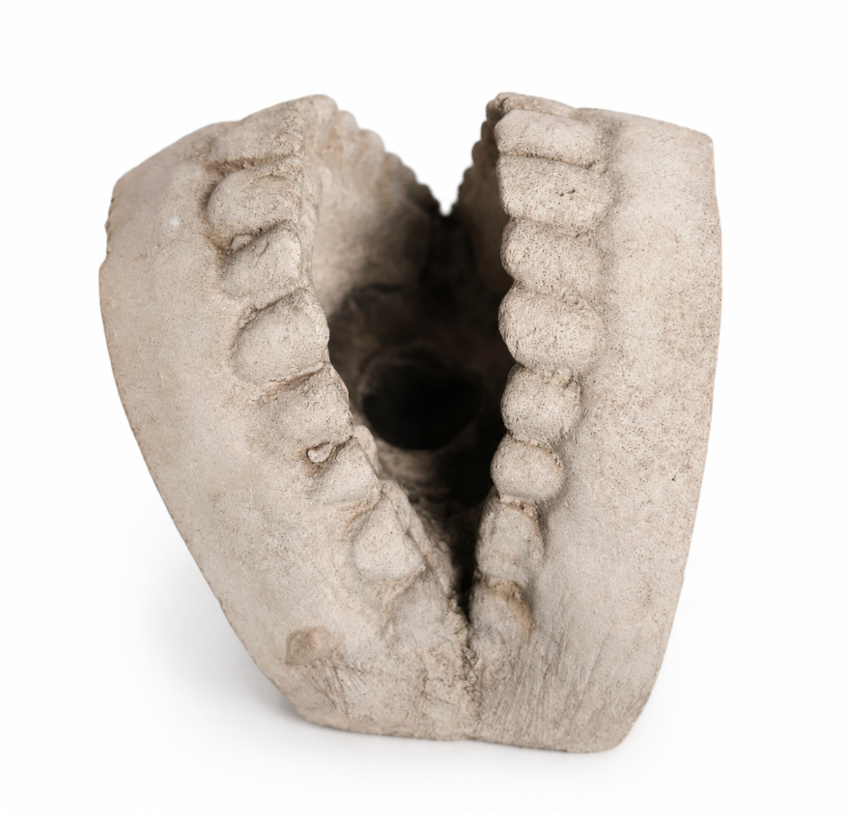 Concrete Teeth Set