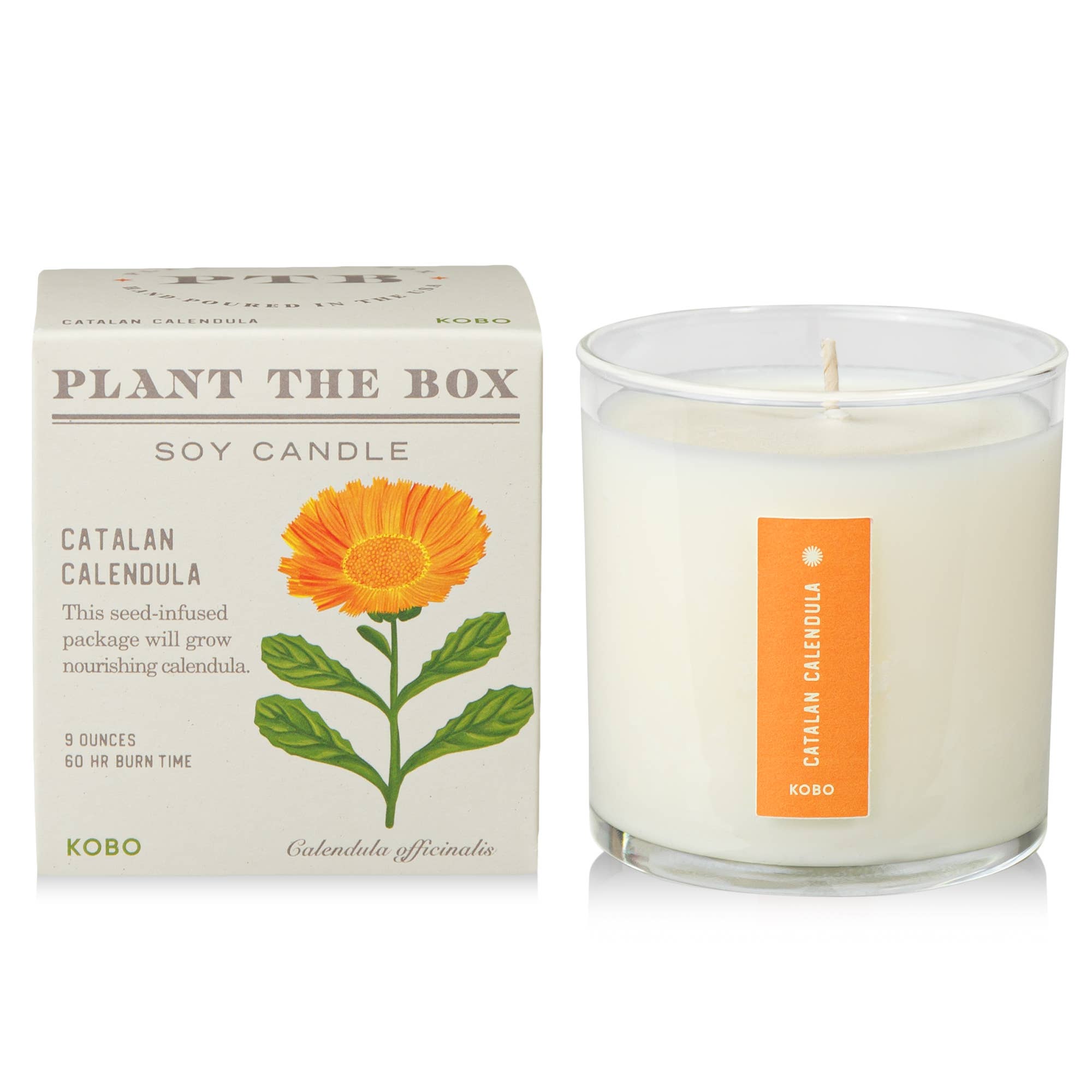 Catalan Calendula Candle