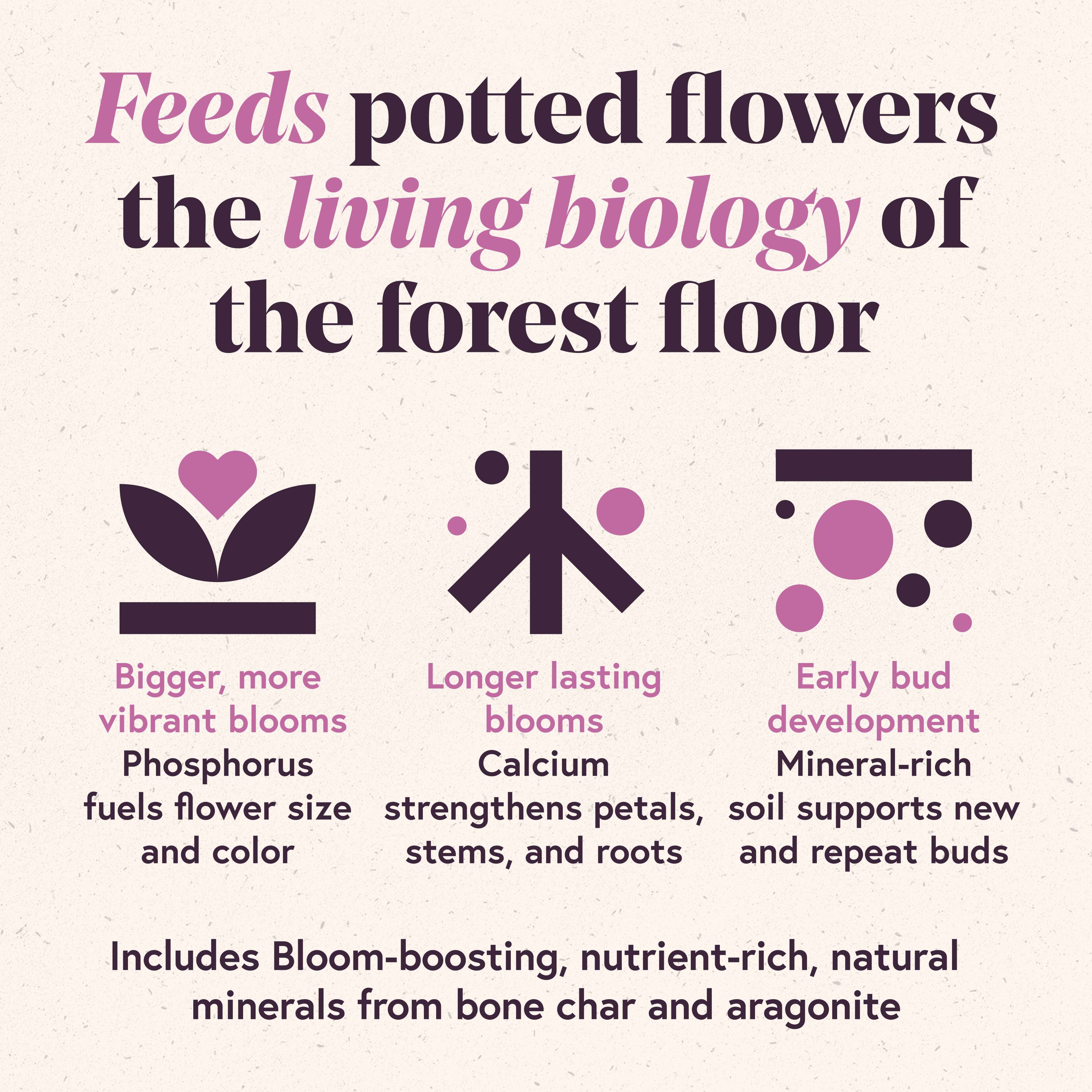 Soil For Blooms Potting Mix
