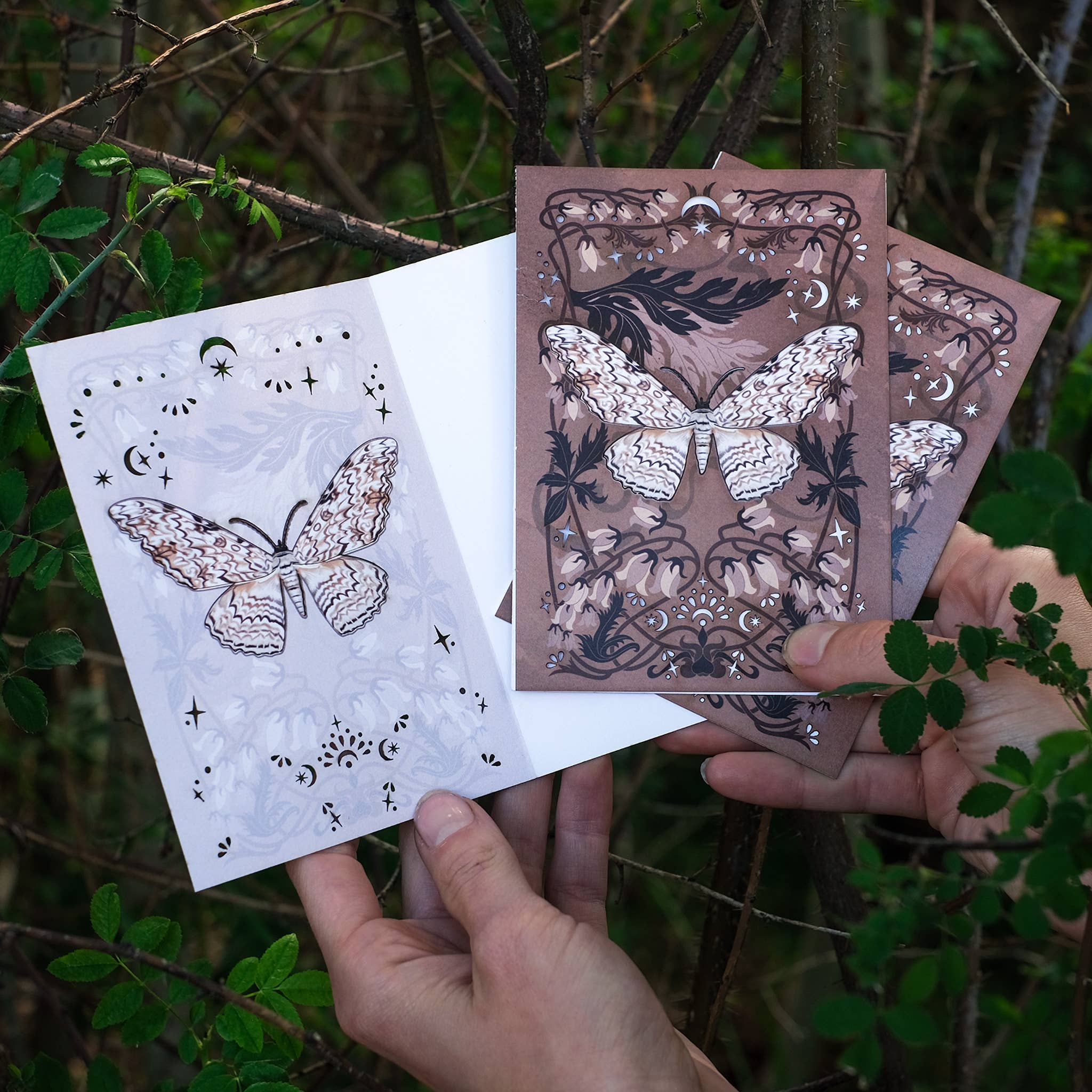 White Witch Moth 'Pop-Out' Greeting Card